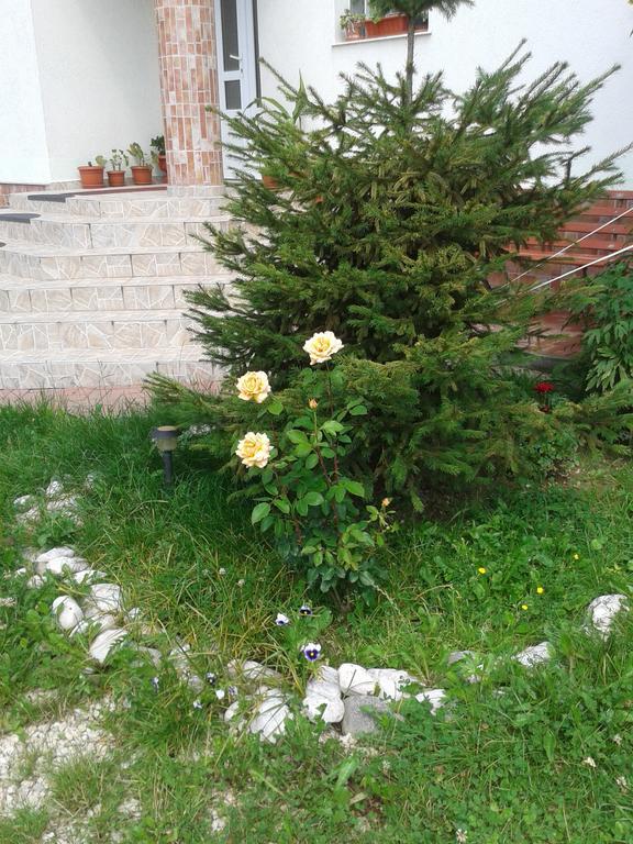 Pension Piatra Craiului Moieciu de Jos Exterior foto