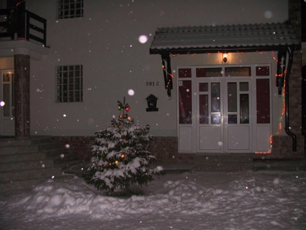 Pension Piatra Craiului Moieciu de Jos Exterior foto